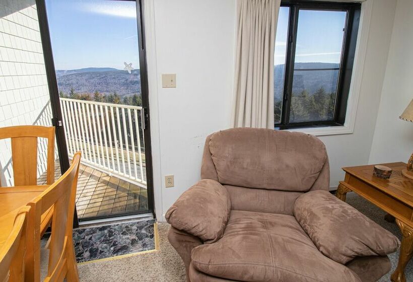 １ベッドルームアパートメント, Mountaintop Condos