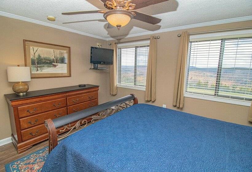 １ベッドルームアパートメント, Mountaintop Condos