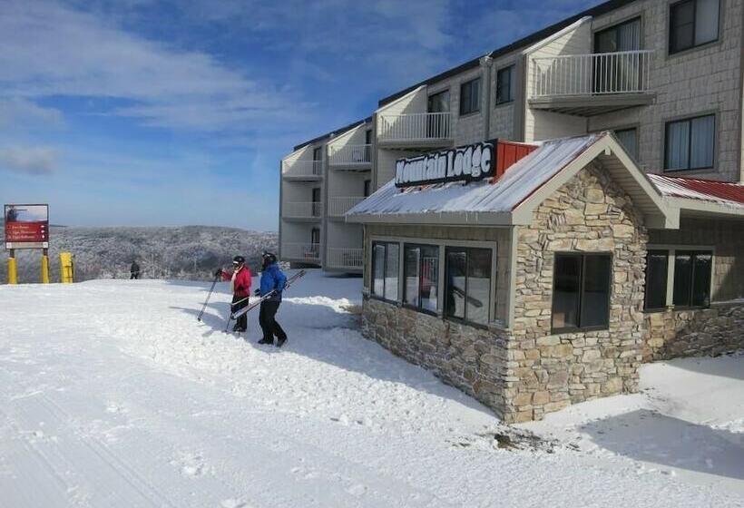 １ベッドルームアパートメント, Mountaintop Condos