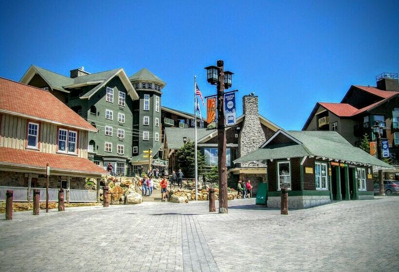 １ベッドルームアパートメント, Mountaintop Condos