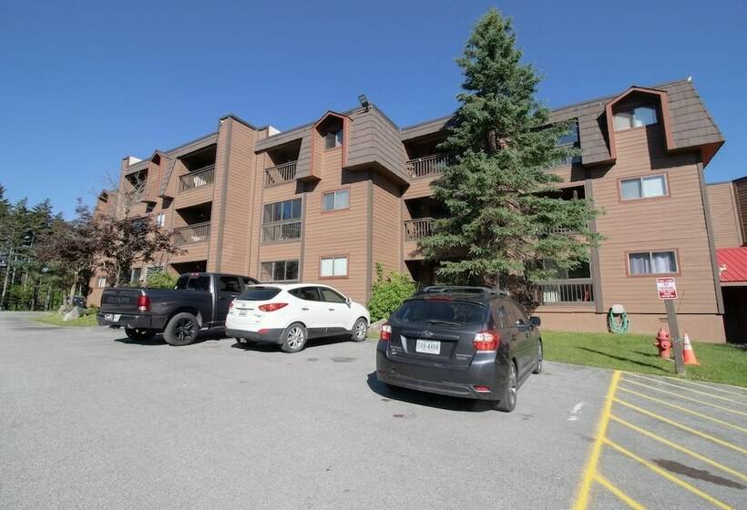 １ベッドルームアパートメント, Mountaintop Condos
