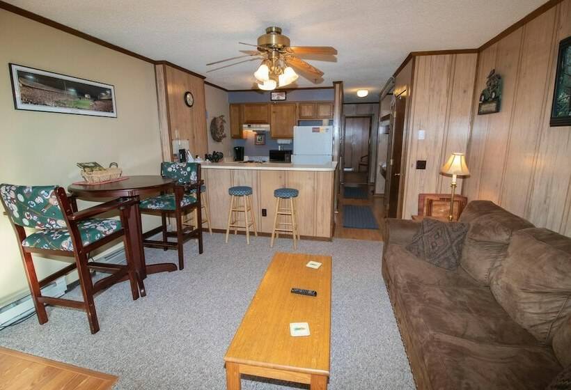 １ベッドルームアパートメント, Mountaintop Condos