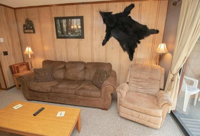 １ベッドルームアパートメント, Mountaintop Condos