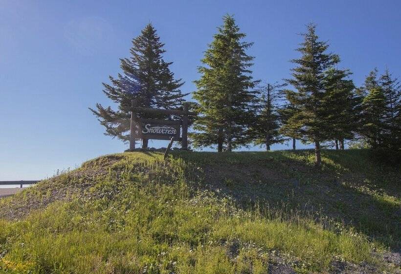 １ベッドルームアパートメント, Mountaintop Condos