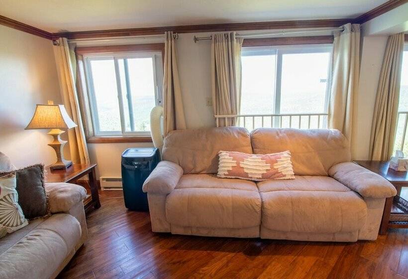 １ベッドルームアパートメント, Mountaintop Condos