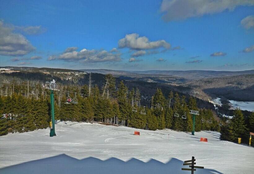 １ベッドルームアパートメント, Mountaintop Condos