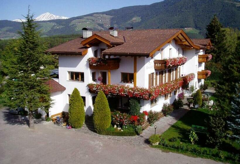 خانه 1 خوابه, Residence Klementhof