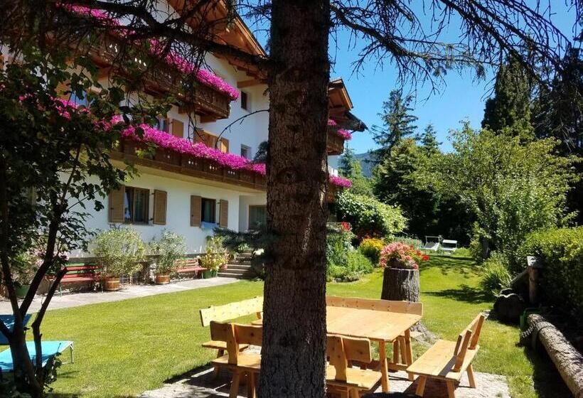 خانه 1 خوابه, Residence Klementhof