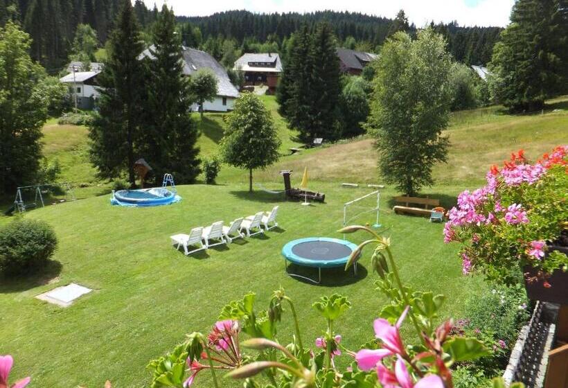 Номер Комфорт, Schwarzwald Hotel Kraeutle