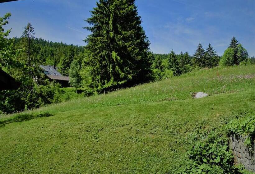 Номер Комфорт, Schwarzwald Hotel Kraeutle