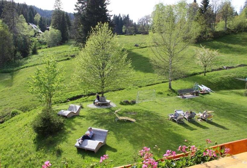 Студио Стандарт с Видом, Schwarzwald Hotel Kraeutle