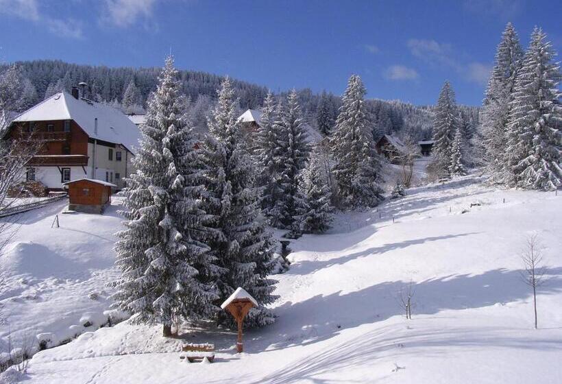 Апартаменты 1 Спальня, Schwarzwald Hotel Kraeutle