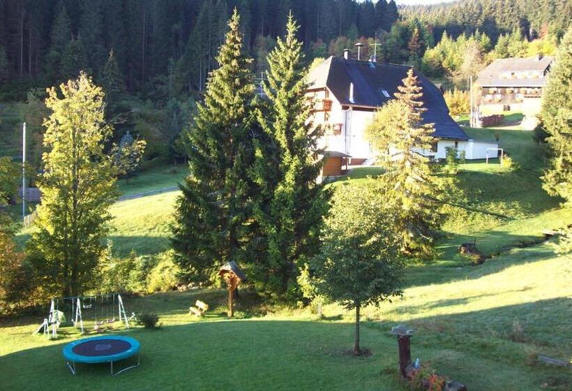 Апартаменты 2 Спальни, Schwarzwald Hotel Kraeutle