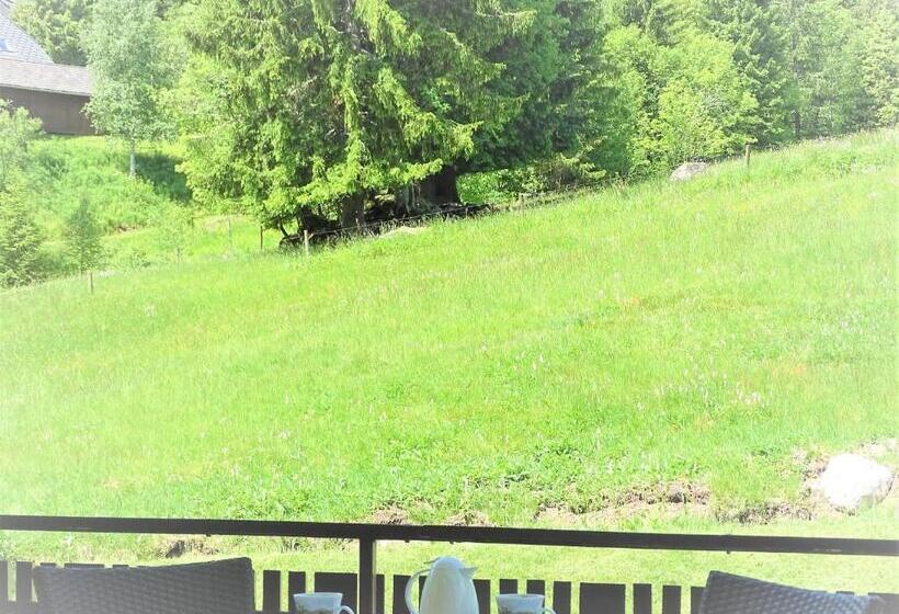 Номер Комфорт, Schwarzwald Hotel Kraeutle
