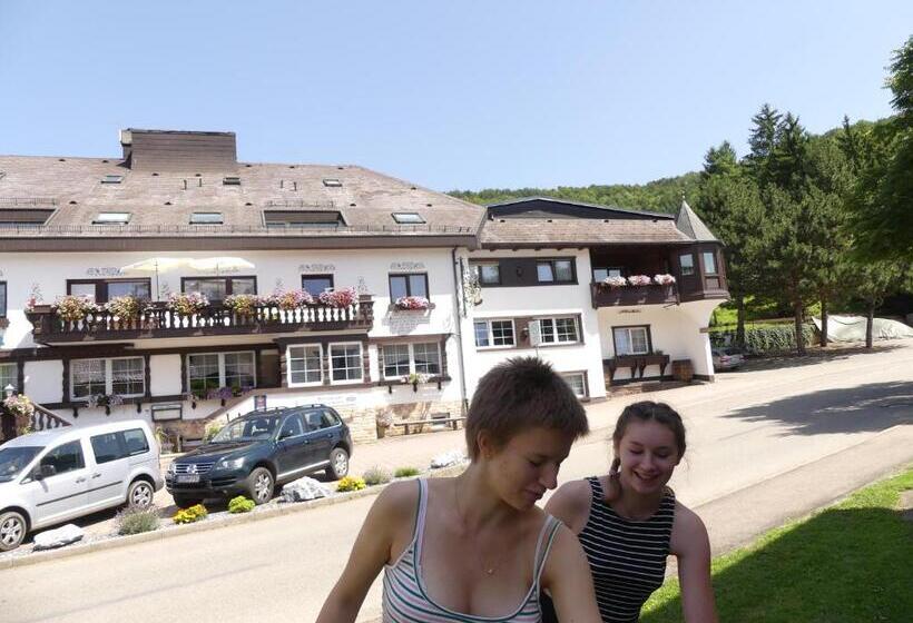 스탠다드 싱글 룸, Landhotel Löwen