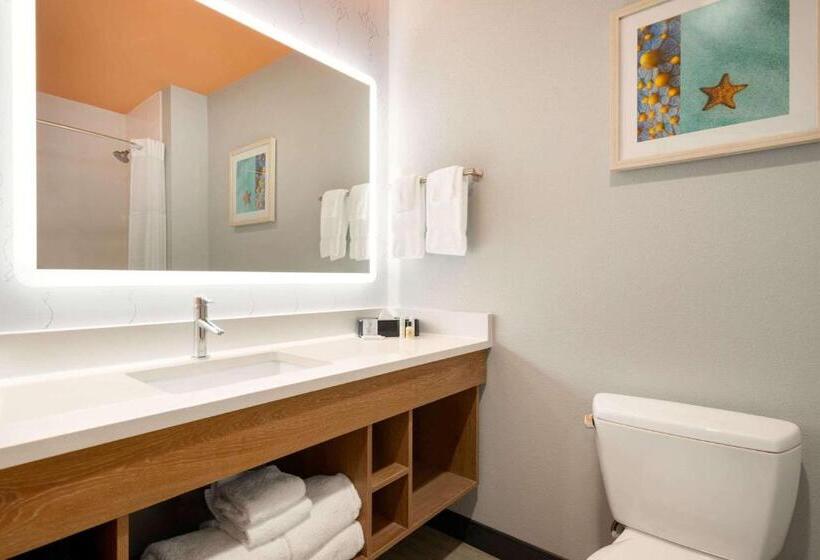 Стандартный Номер Кровать Кинг, La Quinta Inn & Suites By Wyndham San Antonio Seaworld Lafb