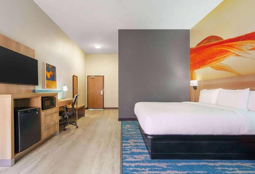 Номер Стандарт Кровать Кинг Адаптированный для Инвалидов, La Quinta Inn & Suites By Wyndham San Antonio Seaworld Lafb