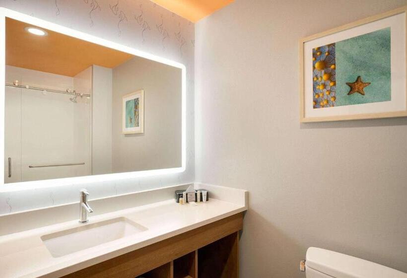 Номер Deluxe, La Quinta Inn & Suites By Wyndham San Antonio Seaworld Lafb
