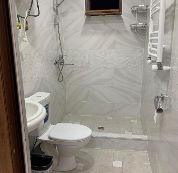 اتاق استاندارد با چشم‌انداز کوهستان, Guest House Diana