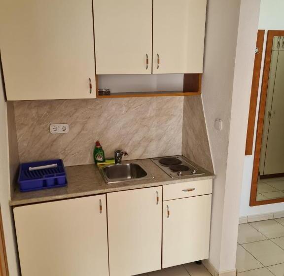 شقة ديلوكس غرفة واحدة, Villa Ancora