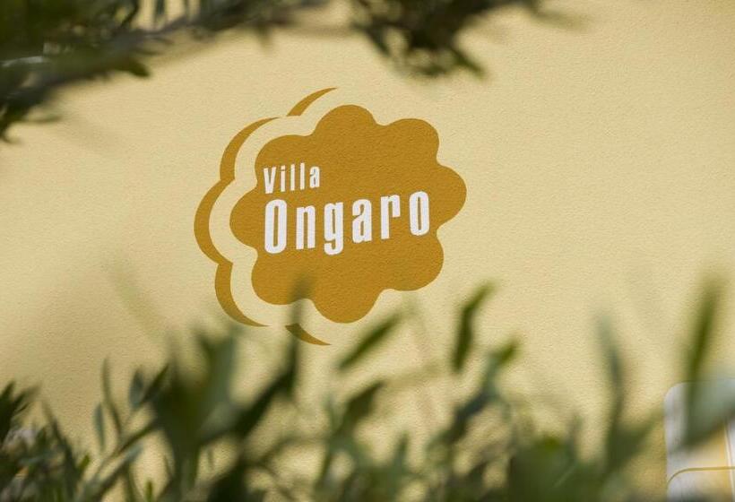 استودیوی استاندارد, Villa Ongaro 2