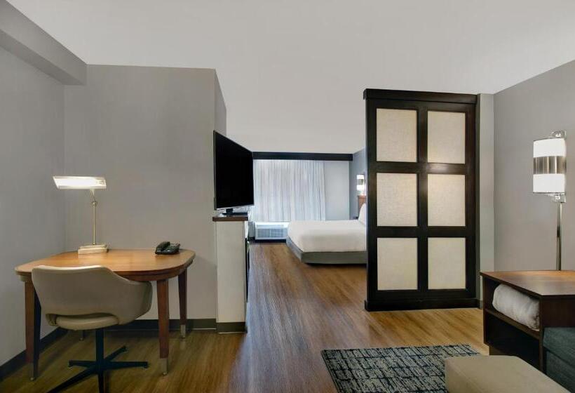 Стандартный Номер Кровать Кинг, Hyatt Place Jackson/ Ridgeland