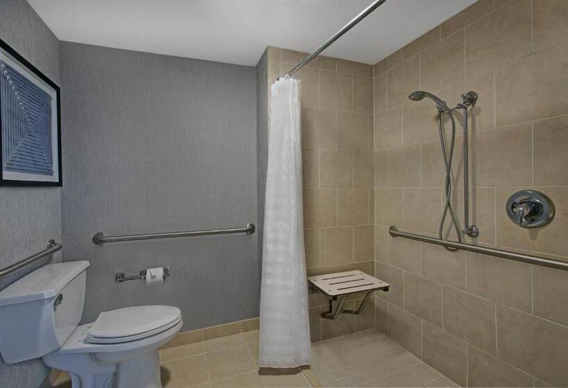 Номер Стандарт Адаптированный для Инвалидов, Hyatt Place Jackson/ Ridgeland
