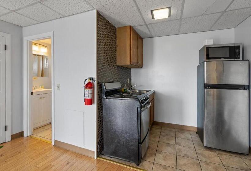 اتاق لوکس با تخت بزرگ, Mt Royal Motel