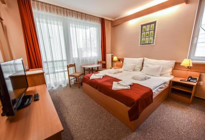수피리어 테라스 룸, Aqua Hotel Termál