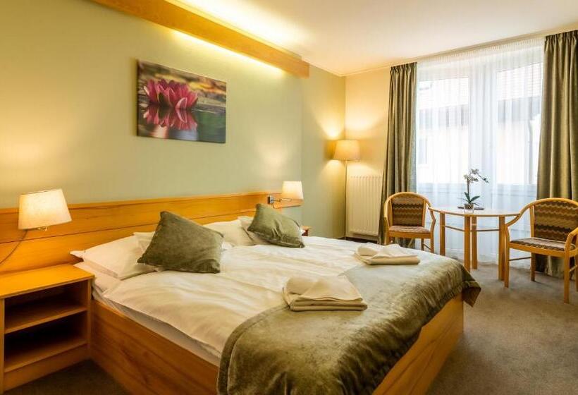 수피리어 룸, Aqua Hotel Termál