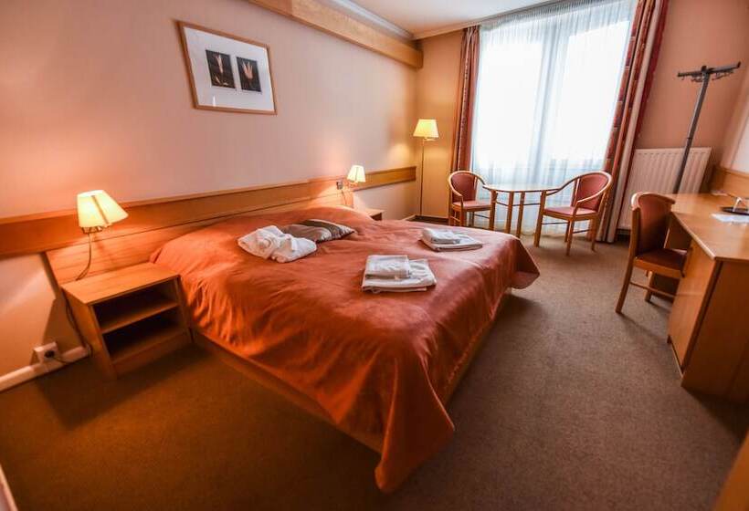 수피리어 룸, Aqua Hotel Termál