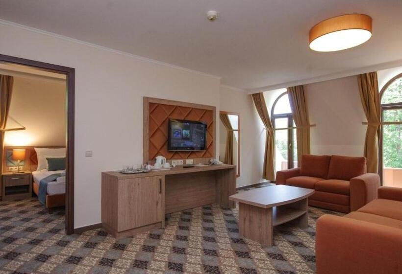 Полулюкс, Wellness Hotel Gyula
