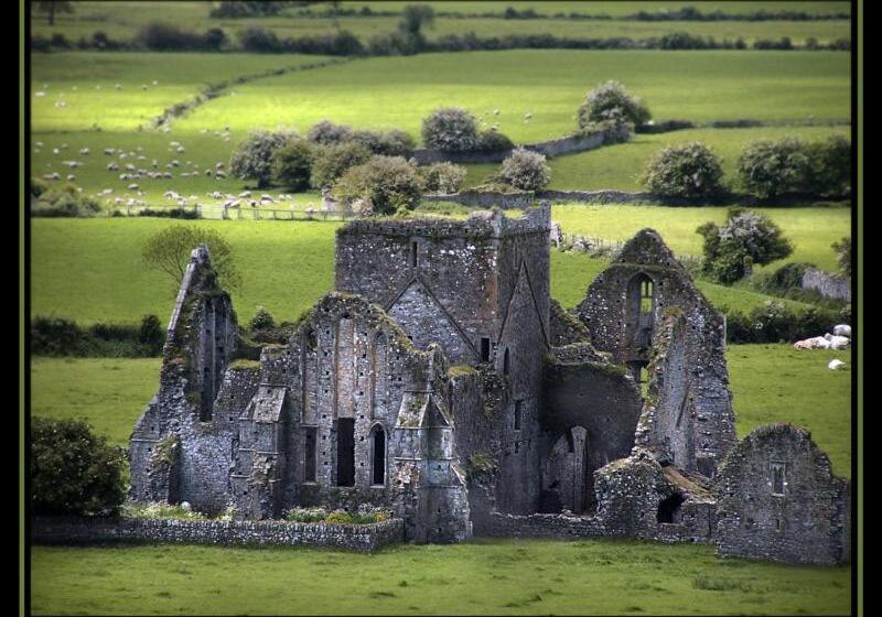 Номер Стандарт, Baileys Hotel Cashel