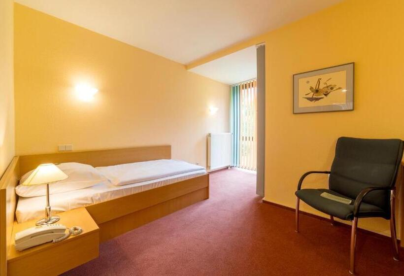 اتاق استاندارد یک نفره, Leag Konferenzcenter Schulungs  Und Tagungshotel Im Spreewald