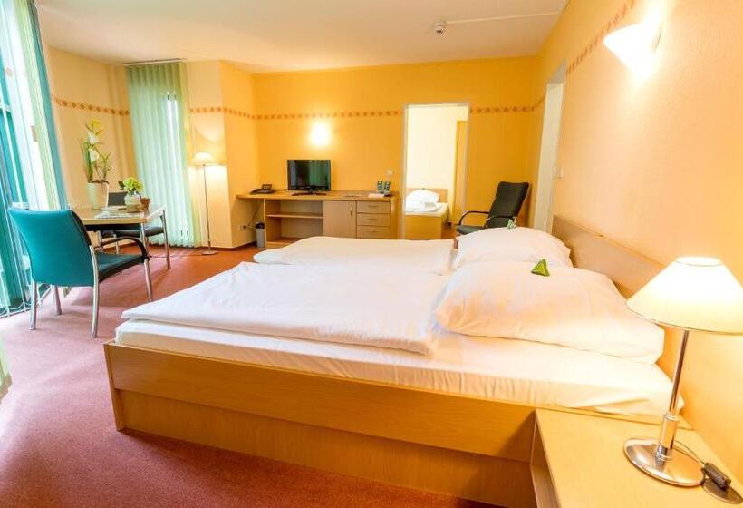 آپارتمان 1 خوابه, Leag Konferenzcenter Schulungs  Und Tagungshotel Im Spreewald