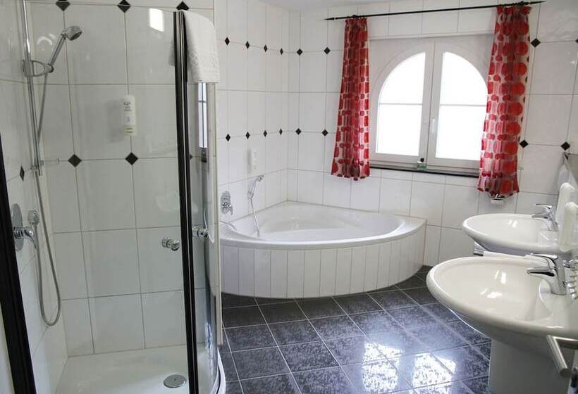 Полулюкс, Hostellerie Bacher