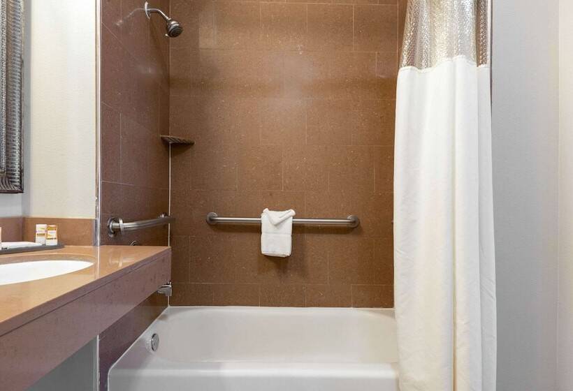 חדר דלוקס, La Quinta By Wyndham Alvin