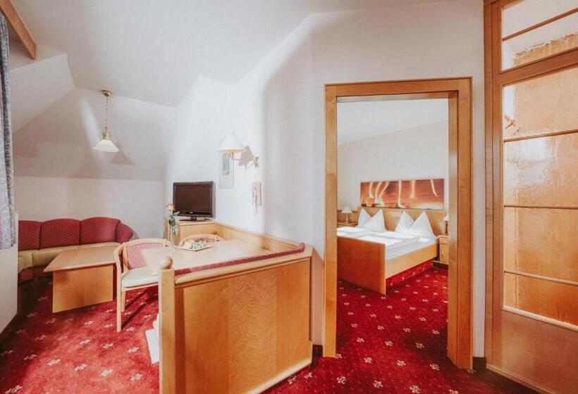 Полулюкс, Mein Hotel Fast