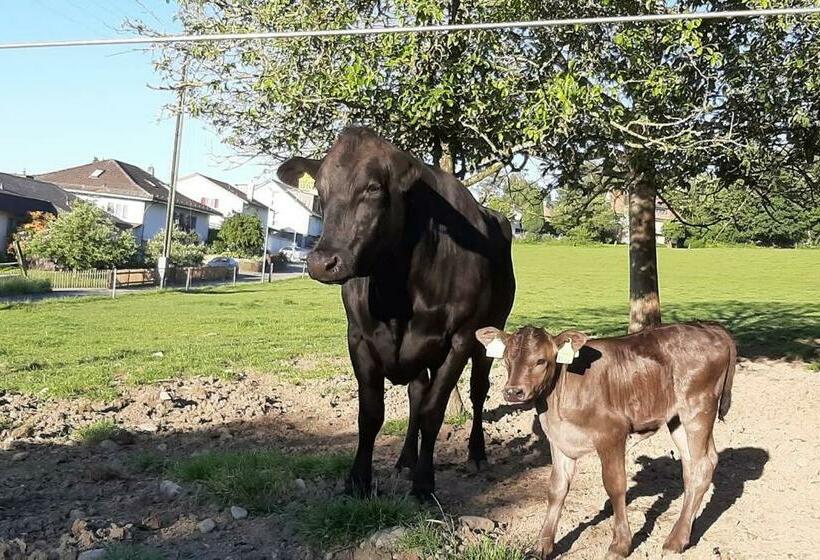 آپارتمان 2 خوابه, Uelis Stöckli Familienfreundliche Wohnung Auf Dem Bauernhof Mit Hotpot Und Alpakatrekking
