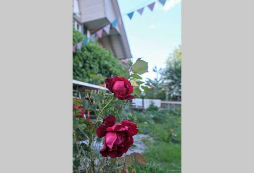 آپارتمان 2 خوابه, Uelis Stöckli Familienfreundliche Wohnung Auf Dem Bauernhof Mit Hotpot Und Alpakatrekking