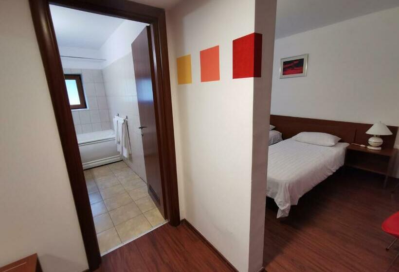 اتاق استاندارد, Timisoara Sannicolau Mare