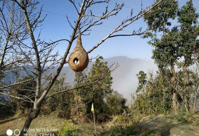 带大床的标准间, In Apple Estate Kanatal   Himalayan View Resort With Courteous Staff