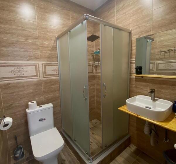 اتاق استاندارد با سرویس بهداشتی مشترک, Mood Hotel Kazbegi