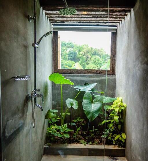 اتاق لوکس با تخت بزرگ, Banana Bunks Kandy