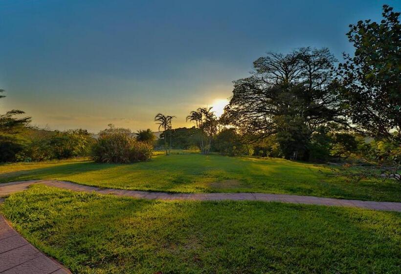 Apartamento 1 Dormitório, Sunset Monteverde