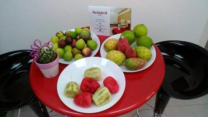 اتاق استاندارد, Arenaria B&b