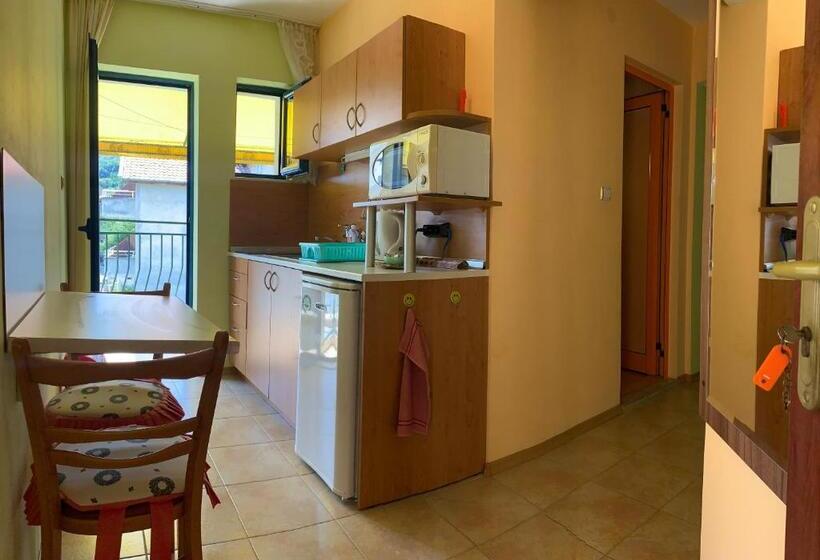 חדר סטודיו סטנדרד, Guest House “olesya”