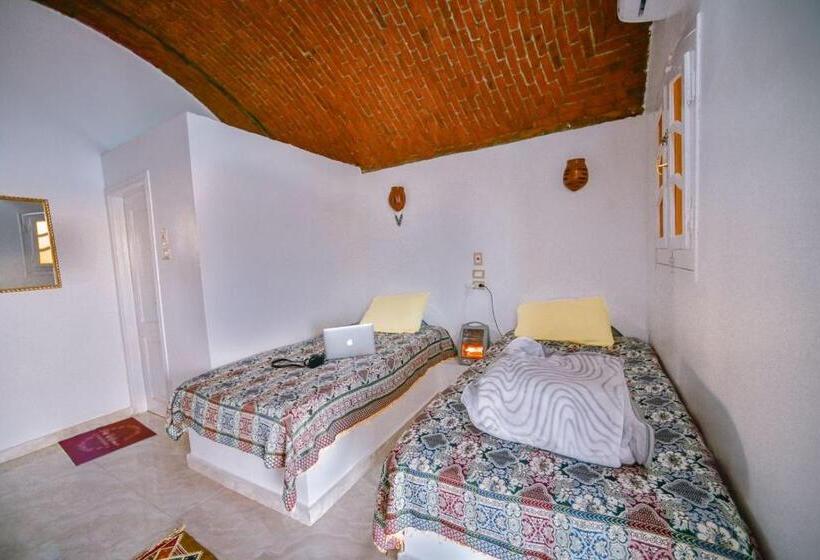 اتاق استاندارد با چشم‌انداز دریا, Kafana Guest House Nile View