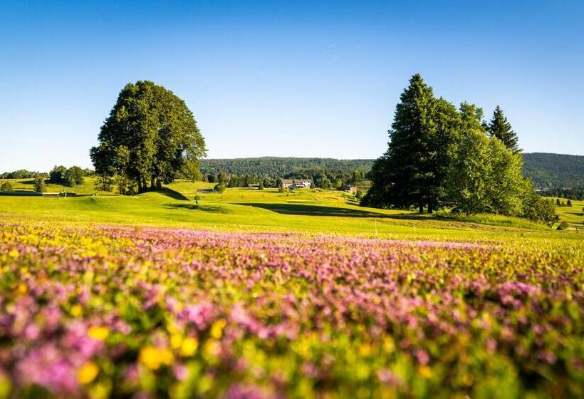 اتاق استاندارد چهار تخته, Domaine Du Mont Saint Jean