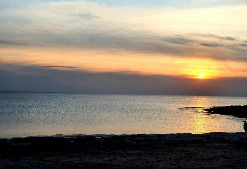 آپارتمان 1 خوابه, Salento   A Casa Di Lilli